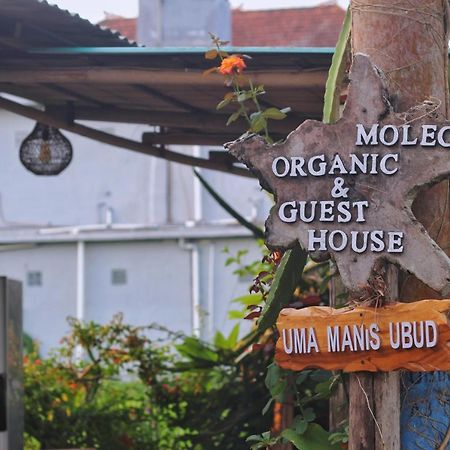 Hotel Uma Manis Ubud Extérieur photo